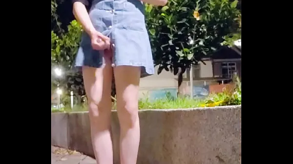 Fresh Pseudo-girl] Dress field hand punch warm Clips